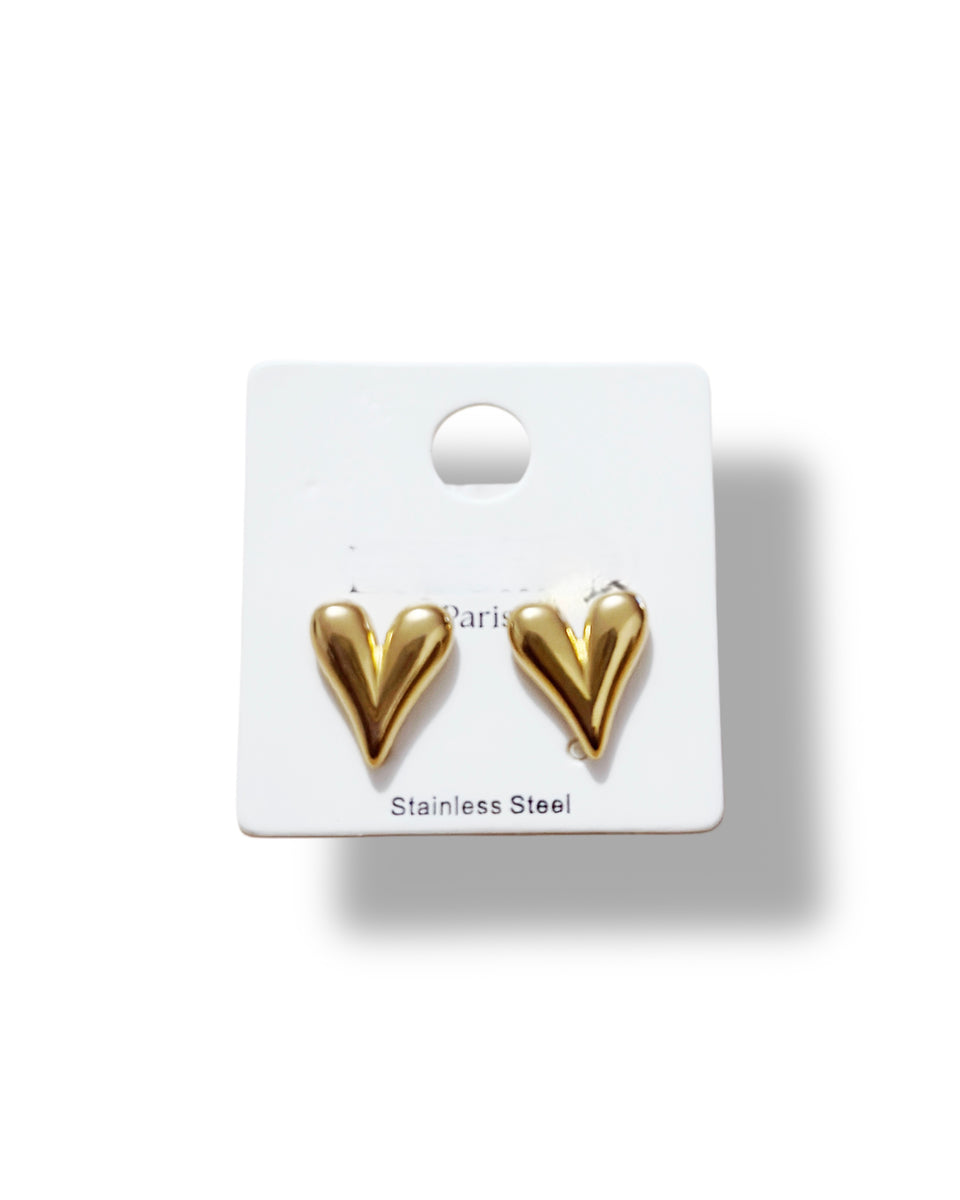 Small stainless steel earrings in gold and gray colors